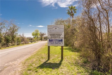 516 ACRE LOT LOCATED IN CARMEL HILLS SUBDIVISION. BUILD YOUR - photo 3