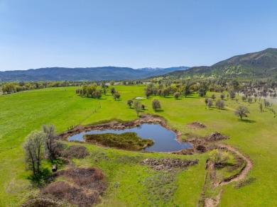 (private lake, pond, creek) Home For Sale in Elk Creek California