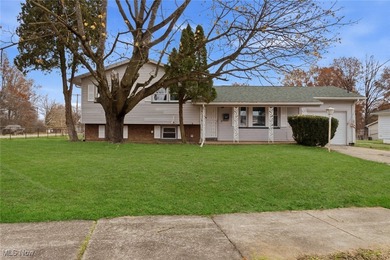 Mc Kelvey Lake Home For Sale in Youngstown Ohio