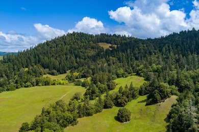 Set along the Humboldt and Mendocino County line, the 3,206 +/- - photo 1