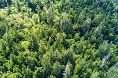 Set along the Humboldt and Mendocino County line, the 3,206 +/- - photo 4