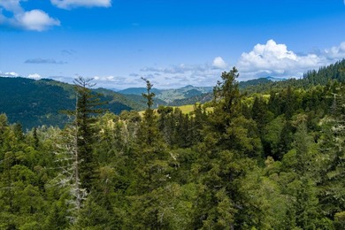 Set along the Humboldt and Mendocino County line, the 3,206 +/- - photo 5