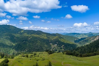 Set along the Humboldt and Mendocino County line, the 3,206 +/- - photo 6