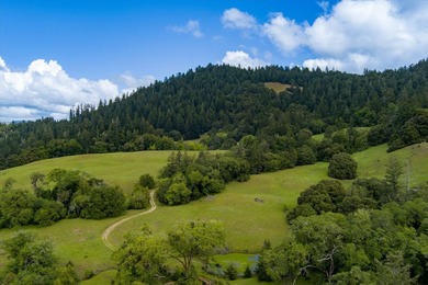 Set along the Humboldt and Mendocino County line, the 3,206 +/- - photo 7