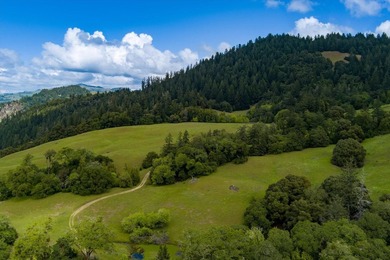 Set along the Humboldt and Mendocino County line, the 3,206 +/- - photo 8