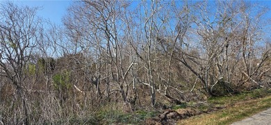Escape to this stunning wooded 2.66 acre tract where country - photo 6