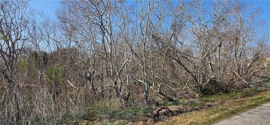 Escape to this stunning wooded 2.66 acre tract where country - photo 2