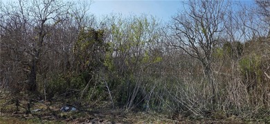 Escape to this stunning wooded 2.66 acre tract where country - photo 3