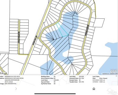 (private lake, pond, creek) Lot For Sale in Chipley Florida