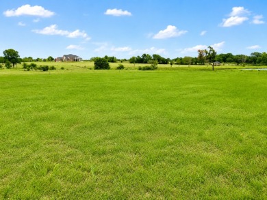 2+ acre waterfront homesite on Richland Chambers Lake - No HOA - photo 23