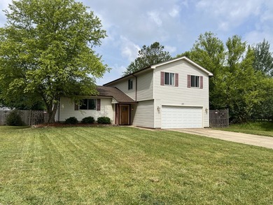 (private lake, pond, creek) Home For Sale in Bolingbrook Illinois