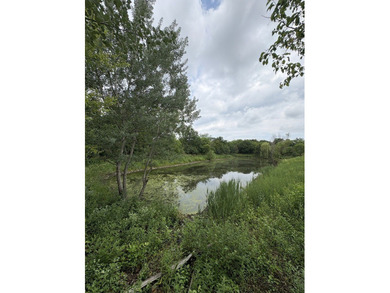 Well-maintained 4-bedroom, 2.1-bath home on a generously sized - photo 4