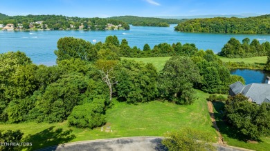 Tellico Lake Lot Sale Pending in Vonore Tennessee