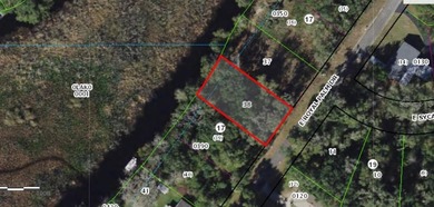 Tsala Apopka Chain of Lakes Lot For Sale in Inverness Florida