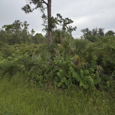 Port Charlotte Waterway Lakes Area Lot For Sale in Port Charlotte Florida