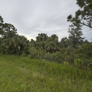 Port Charlotte Waterway Lakes Area Lot For Sale in Port Charlotte Florida