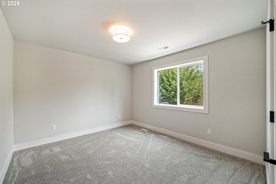 Beautiful new Traditional home backing to serene greenspace - photo 20