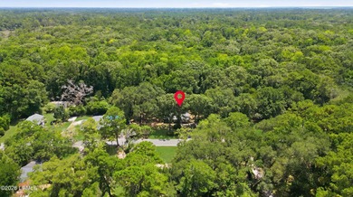 This beautifully updated 4-bedroom, 2-bath home offers almost - photo 48