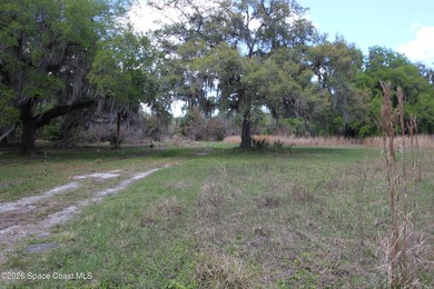 Almost 10 ACRES of land! Great place to build your dream home on - photo 3