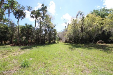 Almost 10 ACRES of land! Great place to build your dream home on - photo 4