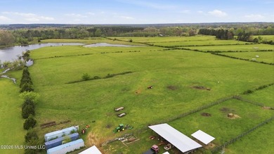 At the center of the property is a thoughtfully designed 7-stall - photo 14