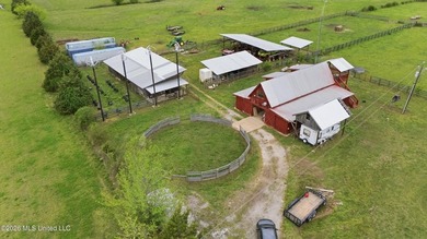 At the center of the property is a thoughtfully designed 7-stall - photo 15
