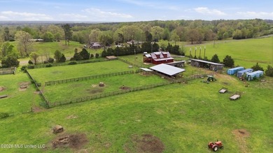 At the center of the property is a thoughtfully designed 7-stall - photo 21