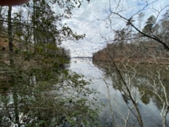 New Mayo Drive - Lake Lot For Sale in Roxboro, North Carolina