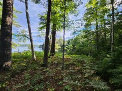 Lake Acreage For Sale in Liberty, Maine