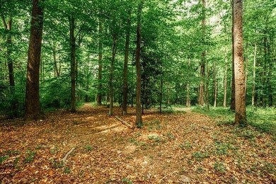 This hidden gem is waiting for you! Here is a unique opportunity - photo 9