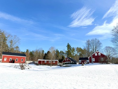 (private lake, pond, creek) Home For Sale in Weathersfield Vermont