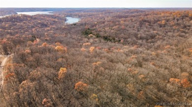 Lake Acreage For Sale in Gravois Mills, Missouri