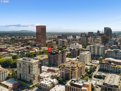 Embodying the very best of the *Pearl District lifestyle,* this - photo 42