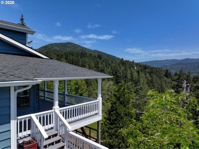 Stunning Mountain Views, Thoughtful Updates & Room to - photo 48