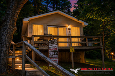 Cabin #5 - 1 Bedroom, 1 Bathroom, 400 sqft. - photo 3