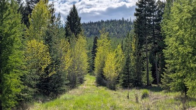 Discover the serenity of Northwest Montana with this beautiful - photo 4