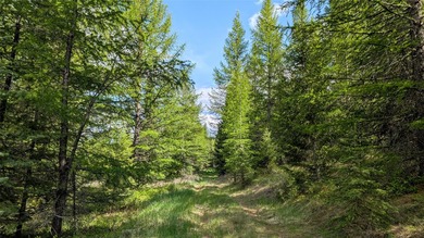 Discover the serenity of Northwest Montana with this beautiful - photo 9