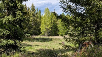 Discover the serenity of Northwest Montana with this beautiful - photo 10