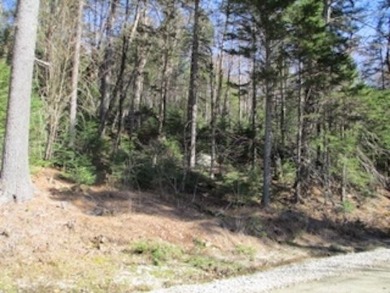 Lake Lot For Sale in Washington, New Hampshire