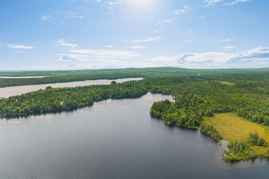 Build your dream getaway on the shores of beautiful Cathance - photo 8