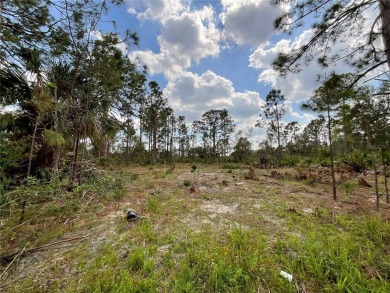 Port Charlotte Waterway Lakes Area Lot For Sale in Port Charlotte Florida