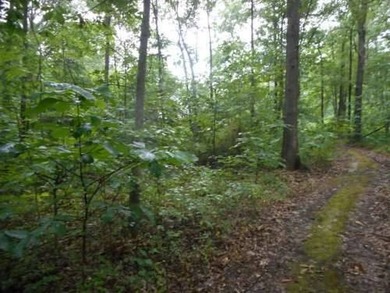 Additional listing photo 2