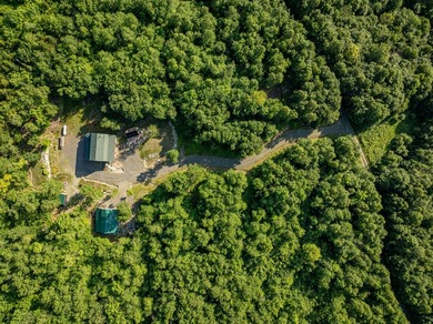Wilderness paradise but close to town! Recently built Ward Cedar - photo 8