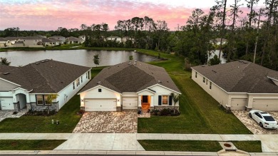 Lake Home Sale Pending in Lutz, Florida