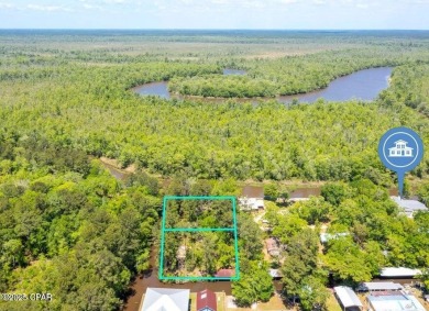 Lake Lot Sale Pending in Vernon, Florida