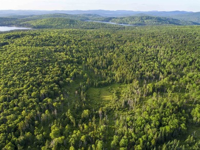 Mohawk River  Acreage For Sale in Stewartstown New Hampshire