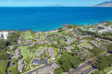 Truly one of Wailea's pinnacle properties, Wailea Elua 803 - photo 41