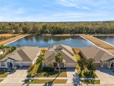 (private lake, pond, coastal) Home For Sale in Wesley Chapel Florida