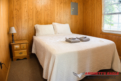 Cabin #5 - 1 Bedroom, 1 Bathroom, 400 sqft. - photo 4