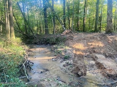 64 Wooded Acres - Prime Location Near I-55, Exit 13 - Fernwood - photo 13